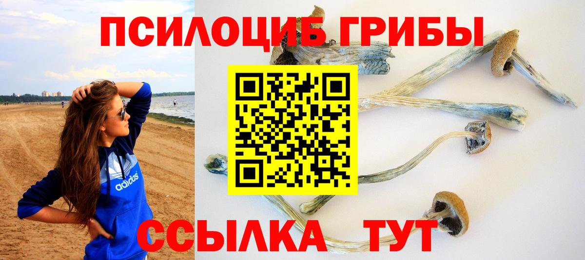 наркота  Псилоцибиновые грибы Psilocybe  Вход с VPN  Фролово 